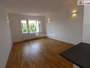Pronájem bytu 2+kk, Praha - Podolí, Vodárenská, 57 m2
