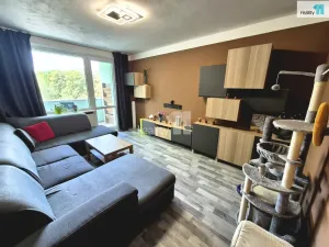 Prodej bytu 3+1, Cheb, Lesní, 64 m2