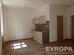 Pronájem bytu 1+kk, Liberec - Liberec II-Nové Město, Široká, 49 m2