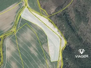 Prodej podílu pole, Jestřebí, 6859 m2