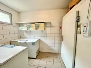 Prodej restaurace, Štěchovice, 102 m2