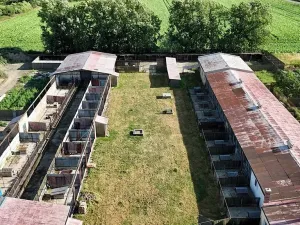 Prodej zemědělské usedlosti, Slezské Pavlovice, 810 m2