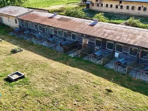 Prodej zemědělské usedlosti, Slezské Pavlovice, 810 m2