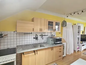 Prodej bytu 1+1, Chyšky, 77 m2