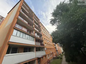 Prodej bytu 3+1, Most, F. L. Čelakovského, 54 m2