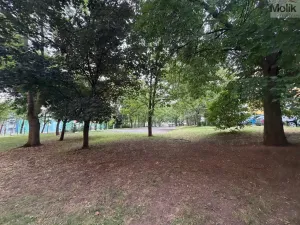 Prodej bytu 3+1, Most, F. L. Čelakovského, 54 m2