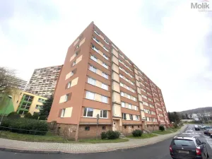 Pronájem bytu 1+1, Chomutov, Kundratická, 38 m2