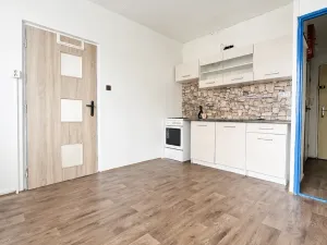 Pronájem bytu 1+1, Chomutov, Kundratická, 38 m2
