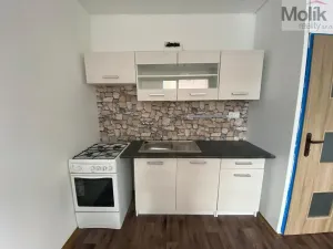 Pronájem bytu 1+1, Chomutov, Kundratická, 38 m2