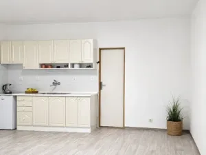 Prodej bytu 1+kk, Brno, bratří Sapáků, 33 m2