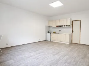 Prodej bytu 1+kk, Brno, bratří Sapáků, 33 m2