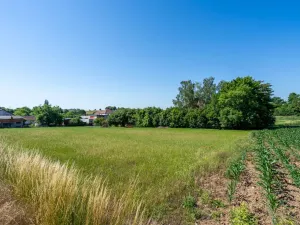 Prodej pozemku pro bydlení, Skalice - Číbuz, 1500 m2