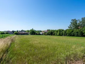 Prodej pozemku pro bydlení, Skalice - Číbuz, 1500 m2