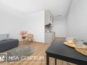 Pronájem bytu 1+kk, Liberec, Polní, 27 m2