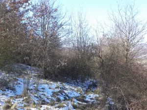 Prodej pole, Ústí nad Labem - Všebořice, 18942 m2