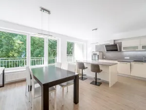 Pronájem bytu 3+kk, Strakonice - Strakonice I, Mlýnská, 90 m2