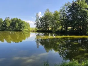 Prodej rybníku, Slezské Rudoltice - Amalín, 18189 m2