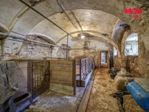 Prodej zemědělské usedlosti, Mezholezy, 171 m2