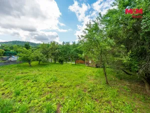 Prodej zahrady, Ludvíkovice, 660 m2