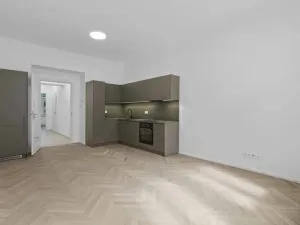 Pronájem bytu 4+kk, Praha - Nusle, Sezimova, 87 m2