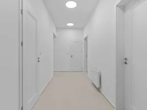 Pronájem bytu 4+kk, Praha - Nusle, Sezimova, 87 m2