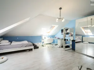 Prodej rodinného domu, Hýskov, Na Viničkách, 308 m2