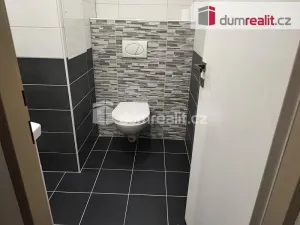 Pronájem bytu 1+1, Spálené Poříčí, Zámecká, 39 m2