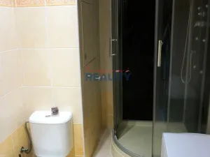Pronájem bytu 1+kk, Vidov, 24 m2