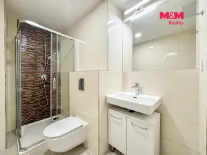 Pronájem bytu 1+kk, Praha - Nové Město, Petrská, 32 m2
