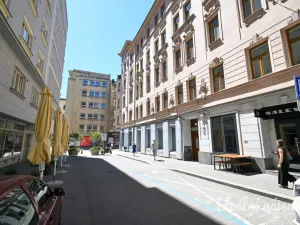 Pronájem bytu 2+1, Brno, Vachova, 65 m2