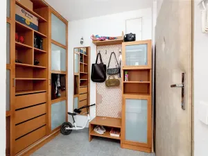 Prodej bytu 2+kk, Praha - Vinohrady, Velehradská, 50 m2