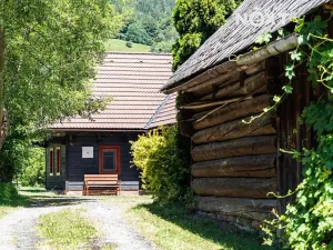 Prodej chalupy, Nový Hrozenkov, 328 m2