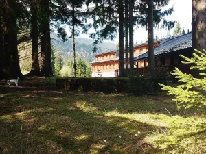 Pronájem bytu 2+kk, Železná Ruda, 37 m2