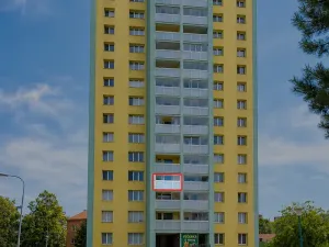 Prodej bytu 1+kk, Ostrava, Sládkova, 22 m2