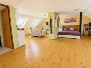 Pronájem bytu 1+kk, Brno, Potácelova, 64 m2
