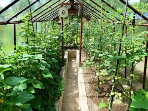 Prodej zahrady, Chodov, Polní, 178 m2