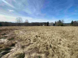 Prodej pole, Aš - Nový Žďár, 3300 m2