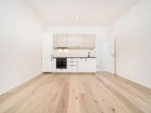Pronájem bytu 1+kk, Praha - Michle, Brtnická, 30 m2