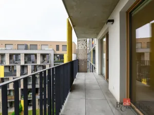 Pronájem bytu 2+kk, Plzeň - Východní Předměstí, Pallova, 56 m2