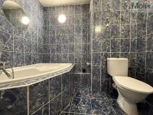 Pronájem bytu 2+kk, Most, F. L. Čelakovského, 40 m2