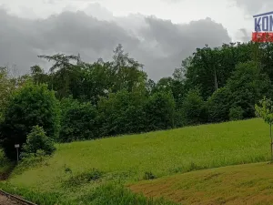 Prodej lesa, Spáňov, 24210 m2