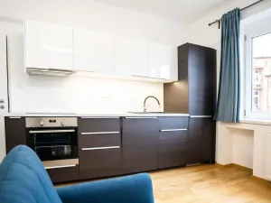 Pronájem bytu 1+kk, Praha - Nusle, U Pernštejnských, 30 m2