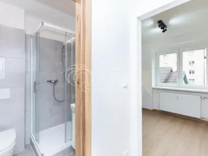 Pronájem bytu 1+1, Sezimovo Ústí, Lipová, 31 m2