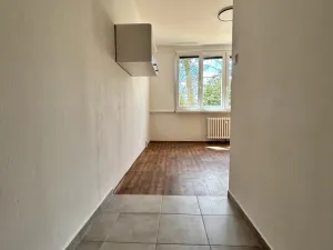 Pronájem bytu 1+1, Ústí nad Labem - Severní Terasa, Větrná, 35 m2