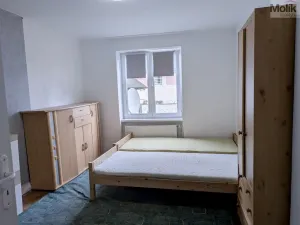 Pronájem bytu 2+1, Teplice, Maxe Švabinského, 60 m2