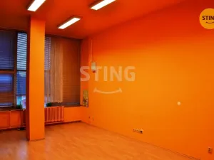 Pronájem obchodního prostoru, Prostějov, Plumlovská, 500 m2