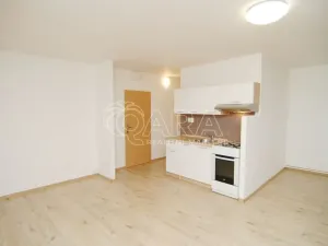 Pronájem bytu 1+kk, Praha - Karlín, Nekvasilova, 27 m2