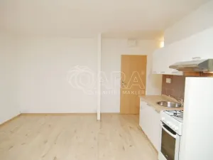 Pronájem bytu 1+kk, Praha - Karlín, Nekvasilova, 27 m2