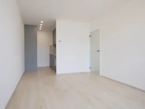 Pronájem bytu 2+kk, Praha - Strašnice, Dubečská, 46 m2