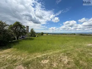 Prodej pozemku pro bydlení, Skršín, 897 m2